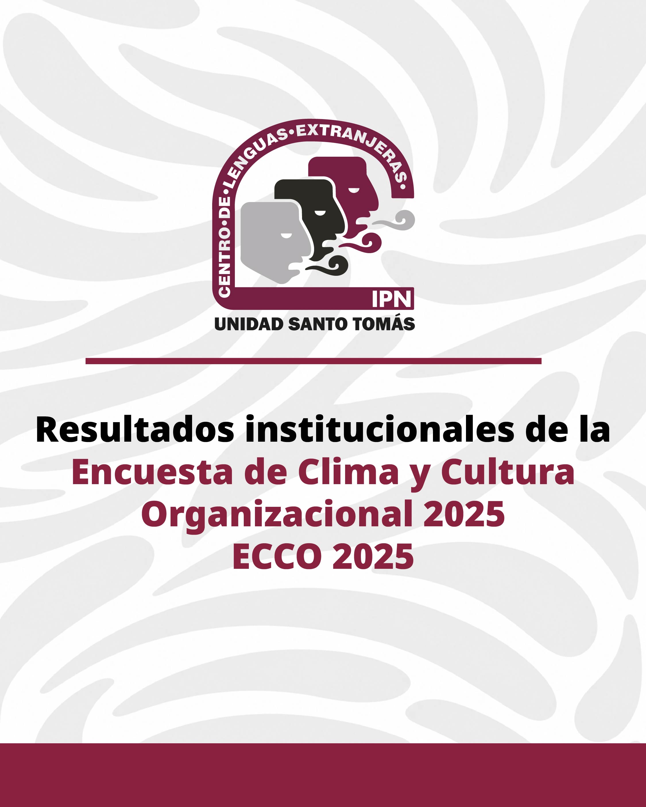 Resultados ECCO 2025